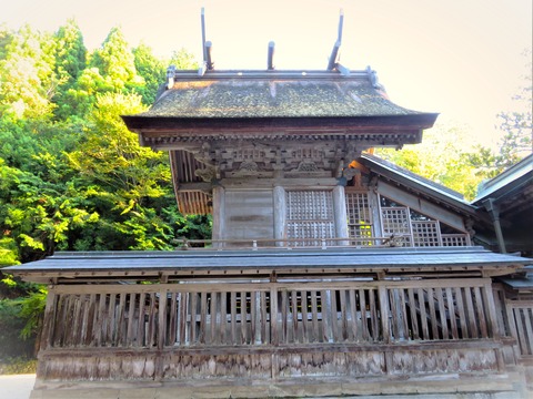 玉作湯神社本殿を真横から